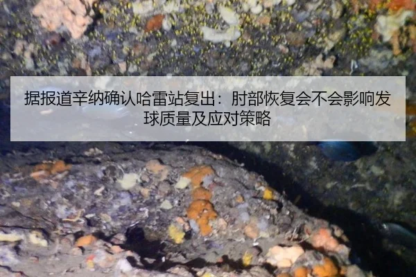 据报道辛纳确认哈雷站复出：肘部恢复会不会影响发球质量及应对策略