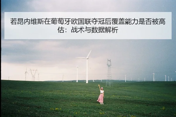 若昂内维斯在葡萄牙欧国联夺冠后覆盖能力是否被高估：战术与数据解析
