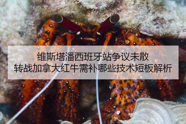 维斯塔潘西班牙站争议未散 转战加拿大红牛需补哪些技术短板解析